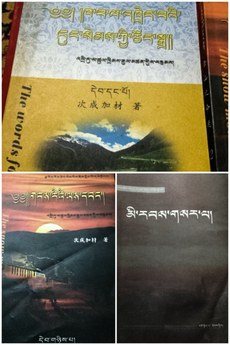 Tsultrim-Gyaltsen's-books.jpg