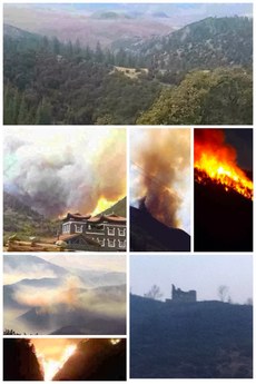 Fire-is-raging-across-forests-in-Dhartsedo.jpg