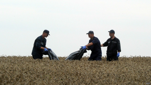 http://wscdn.bbc.co.uk/worldservice/assets/images/2014/07/19/140719093908_malaysia_airlines_plane__624x351_afp.jpg