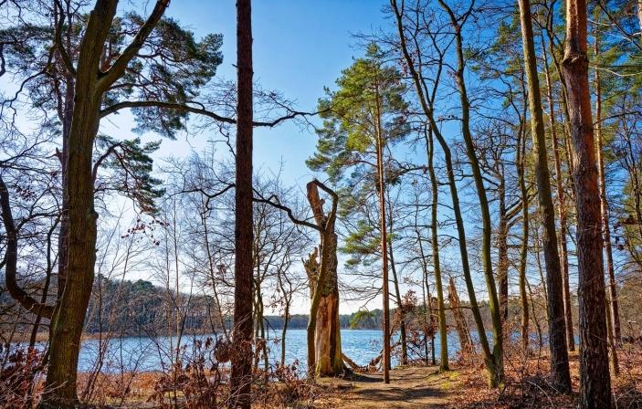 五律-晚成兩首/仲維光